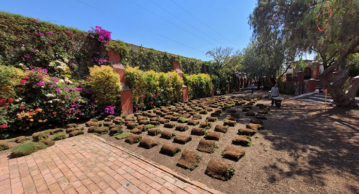Mantenimiento de áreas verdes Cambium